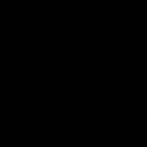 Meet your Posher, Justina